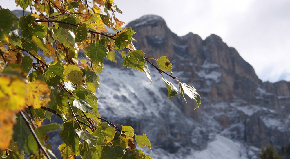 dolomites-10